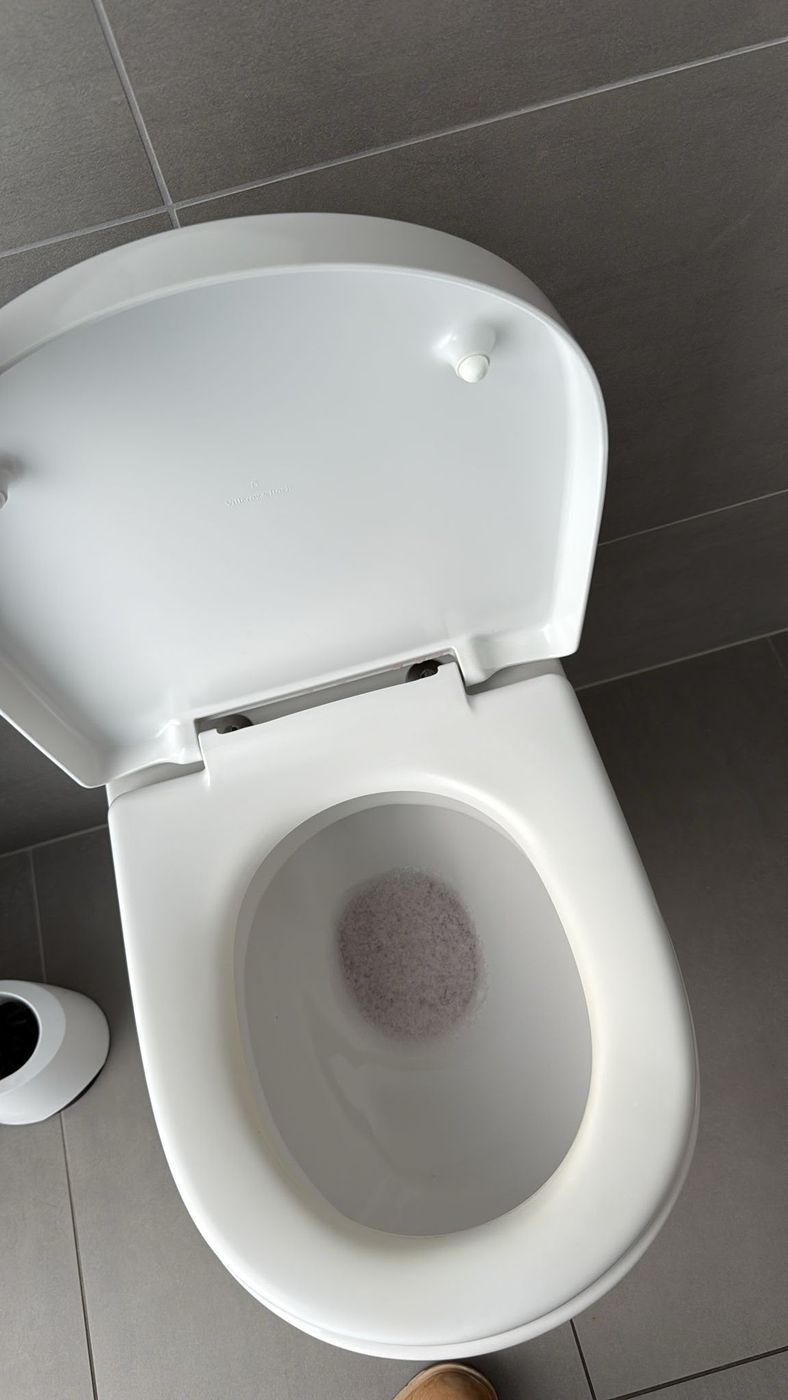 Hygienisch gereinigte weiße Toilette nach der Sanitärreinigung